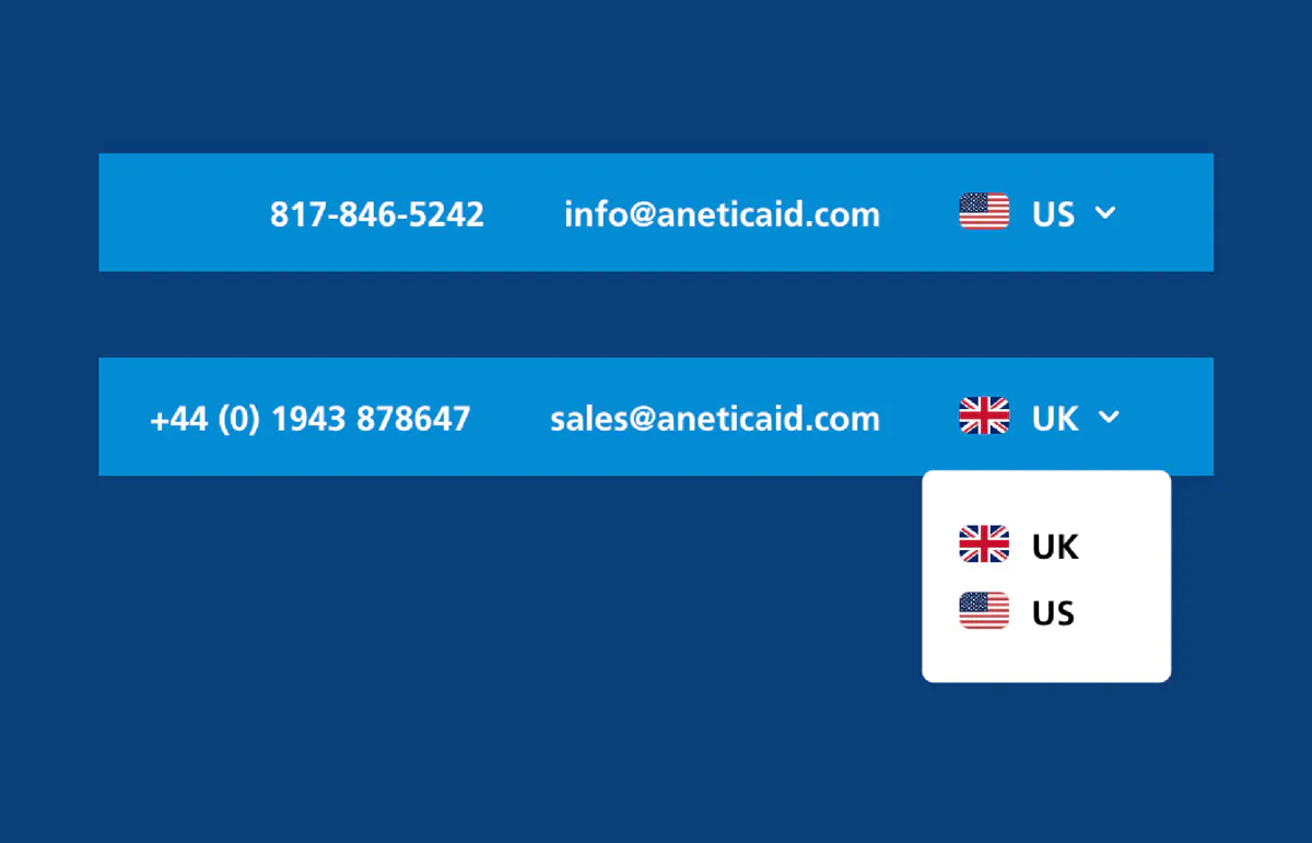 Image of the Anetic Aid region switcher tool bar.
