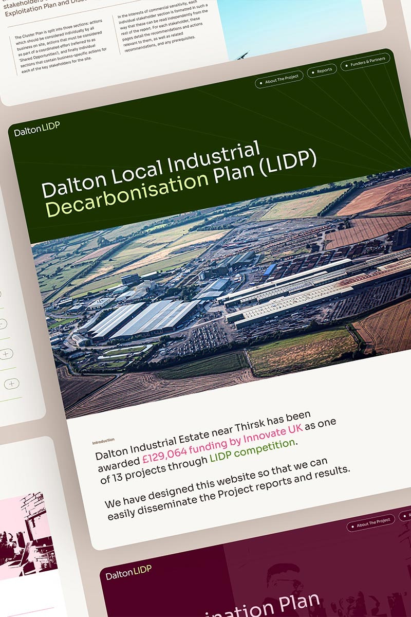Mockups of LIDP website